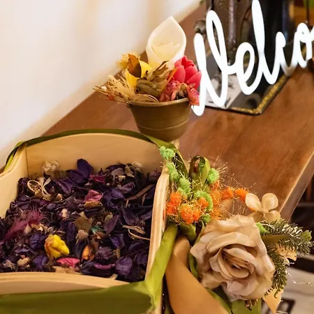 Palazzo Armini Bed & Breakfast Rogliano