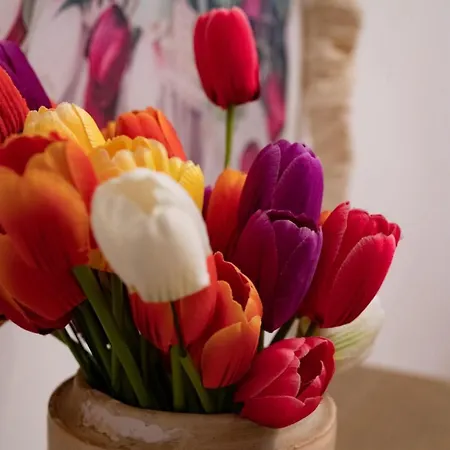 Palazzo Armini Bed and breakfast Rogliano