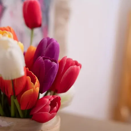 Bed and breakfast Palazzo Armini 4*