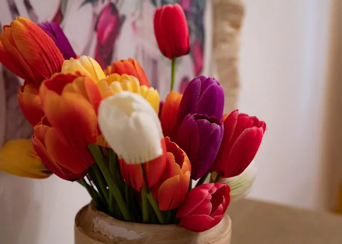 Palazzo Armini Alojamento de Acomodação e Pequeno-almoço Rogliano