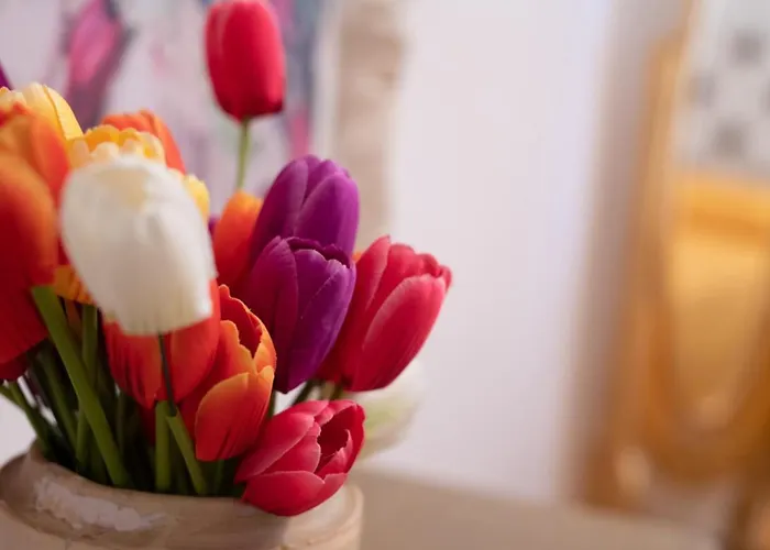 Alojamento de Acomodação e Pequeno-almoço Palazzo Armini 4*