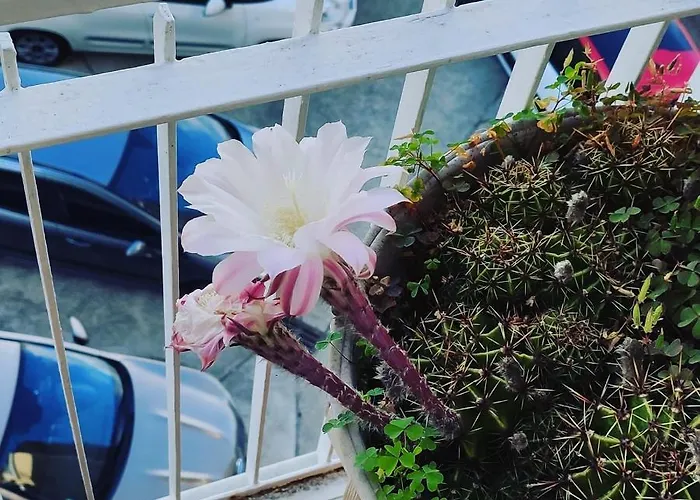 Palazzo Armini Alojamento de Acomodação e Pequeno-almoço